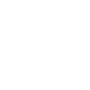 Wells-fargo-white