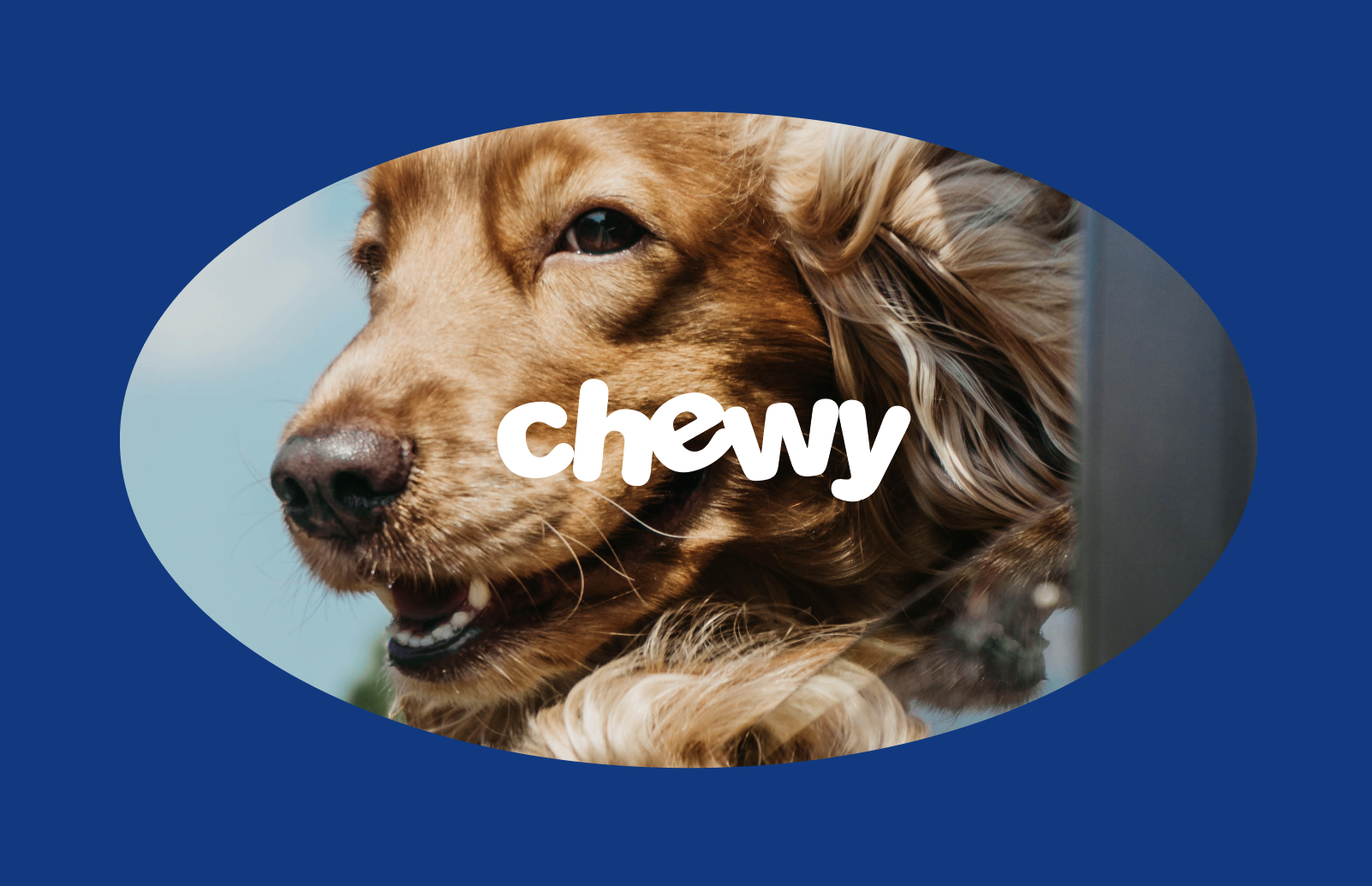4-Chewy